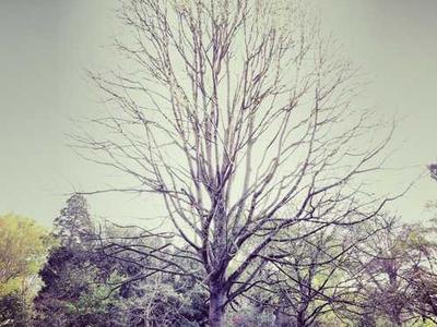 News Summary: Direct Selling Gains Momentum Among Indie Authors as Platforms Like Substack and Draft2Digital Expand Options