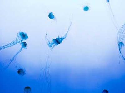 News Summary: UK Independent Publishers Issue AI Copyright Warning; TikTok Backs National Year of Reading