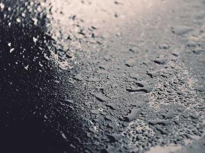 News Summary: Frankfurt Survey Reveals AI Use Across Publishing; EU Act Draws Criticism