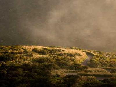 News Summary: Grammarly Rebrands as Superhuman, OpenAI Faces Class Action, and TikTok Deal Nears Completion