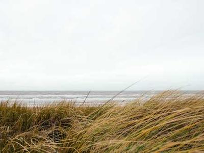 News Summary: Amazon Launches Immersion Reading in Audible, Linking Audiobooks and E-books