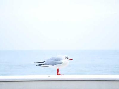 News Summary: SelfPubCon25 Highlights New Marketing, Streaming, and Reader Connection Trends