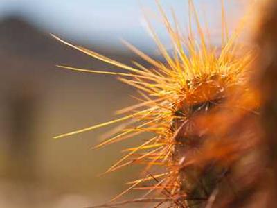 News Summary: Grammarly Rebrands as Superhuman, OpenAI Faces Class Action, and TikTok Deal Nears Completion