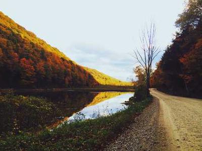 Meet ALLi at The London Book Fair 2026: Panels, Author Talks, and Drinks Party