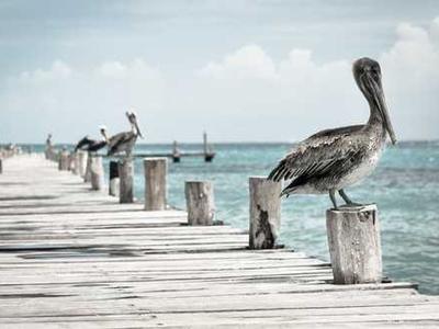 Audio Interview: Why a Manuscript Assessment Can Save Authors Time and Money, with Howard Lovy and Tim McConnehey