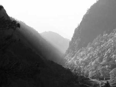 News Summary: Frankfurt Survey Reveals AI Use Across Publishing; EU Act Draws Criticism