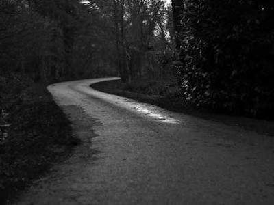 Finding the Right Publishing Mentor and How to Navigate Reviews, Translations, and Book Pricing: Member Q&A with Michael La Ronn and Sacha Black