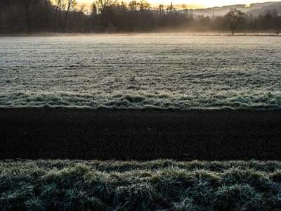 Finding the Right Publishing Mentor and How to Navigate Reviews, Translations, and Book Pricing: Member Q&A with Michael La Ronn and Sacha Black