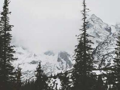 News Summary: Amazon’s New A10 Algorithm Prioritizes Reader Engagement, Sparking Concern Among Indie Authors