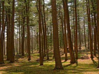 The Bookstore Indie Authors Deserve: ALLi Members’ Big New Shopfront, with Orna Ross and Melissa Addey