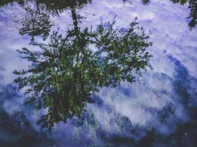 News Summary: Amazon Launches Immersion Reading in Audible, Linking Audiobooks and E-books