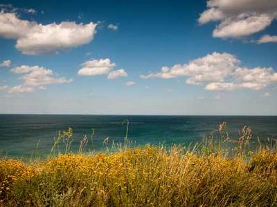 News Summary: Amazon’s New A10 Algorithm Prioritizes Reader Engagement, Sparking Concern Among Indie Authors