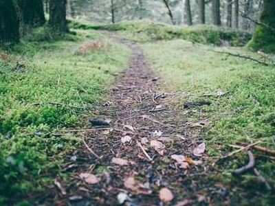 News Summary: Frankfurt Survey Reveals AI Use Across Publishing; EU Act Draws Criticism