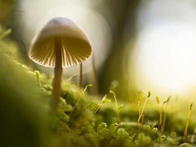 News Summary: Direct Selling Gains Momentum Among Indie Authors as Platforms Like Substack and Draft2Digital Expand Options