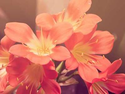 News Summary: UK Independent Publishers Issue AI Copyright Warning; TikTok Backs National Year of Reading