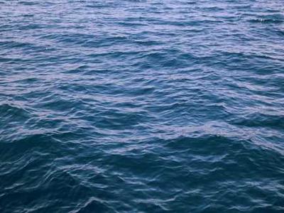 Audio Interview: The Editorial Process for Short Fiction Contests with Matty Dalrymple and Polly Campbell