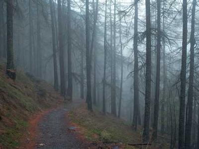 Inspirational Indie Author Interview: Steven Leibo — International Affairs Expert Turns Retirement into Epic Fiction Series on China, America, and Identity