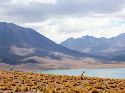 Audio Interview: Mindfulness and Adaptability in a Successful Author Career with Matty Dalrymple and Julie Embleton