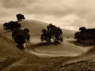 What Writing Over 30 Books Has Taught Me About Surviving the Second Draft