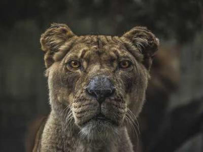 News Podcast: SelfPubCon Highlights Direct-to-Reader Trends, Spotify Launches New Audiobook Selects Platform