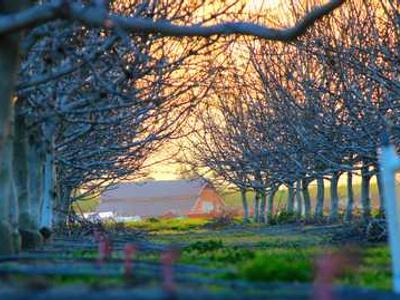 News Summary: Grammarly Rebrands as Superhuman, OpenAI Faces Class Action, and TikTok Deal Nears Completion