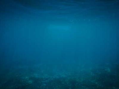 News Summary: Grammarly Rebrands as Superhuman, OpenAI Faces Class Action, and TikTok Deal Nears Completion