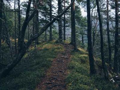 Audio Interview: Mindfulness and Adaptability in a Successful Author Career with Matty Dalrymple and Julie Embleton