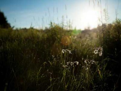 News Summary: Direct Selling Gains Momentum Among Indie Authors as Platforms Like Substack and Draft2Digital Expand Options