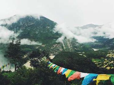 News Summary: Direct Selling Gains Momentum Among Indie Authors as Platforms Like Substack and Draft2Digital Expand Options