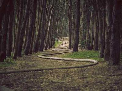 News Podcast: AI Romance Authors Spark Backlash; Piracy Rates Raise Fresh Alarm