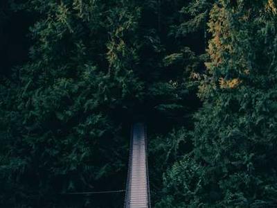 What Writing Over 30 Books Has Taught Me About Surviving the Second Draft