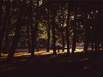 Meet ALLi at The London Book Fair 2026: Panels, Author Talks, and Drinks Party