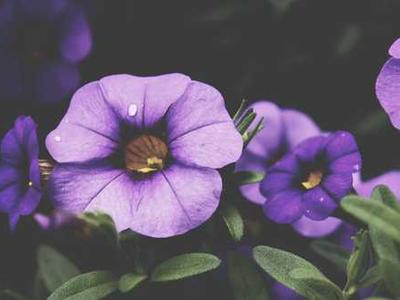 Audio Interview: Mindfulness and Adaptability in a Successful Author Career with Matty Dalrymple and Julie Embleton