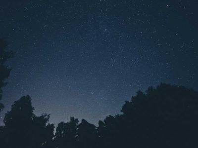 News Summary: UK Independent Publishers Issue AI Copyright Warning; TikTok Backs National Year of Reading