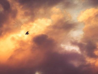 News Summary: Mastodon Courts Creators with New Features; Snapchat Launches Creator Subscriptions