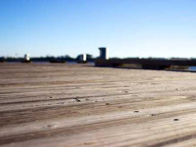 News Podcast: AI Romance Authors Spark Backlash; Piracy Rates Raise Fresh Alarm