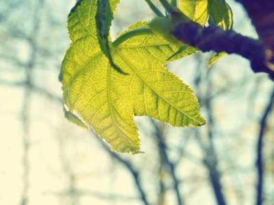 Finding the Right Publishing Mentor and How to Navigate Reviews, Translations, and Book Pricing: Member Q&A with Michael La Ronn and Sacha Black