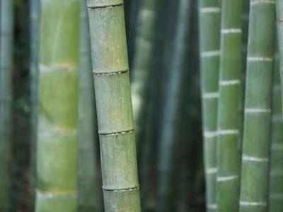 News Summary: Direct Selling Gains Momentum Among Indie Authors as Platforms Like Substack and Draft2Digital Expand Options