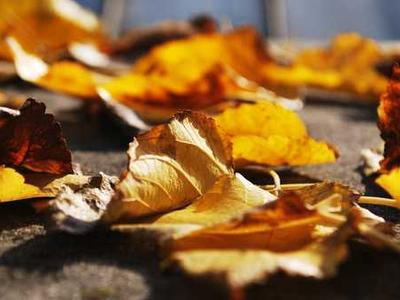 The Bookstore Indie Authors Deserve: ALLi Members’ Big New Shopfront, with Orna Ross and Melissa Addey