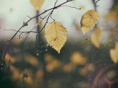 News Summary: Americans Listen to Podcasts More Than Talk Radio; Mass Market Paperback Phased Out