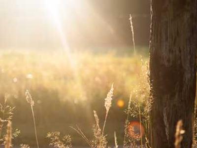 News Summary: Frankfurt Survey Reveals AI Use Across Publishing; EU Act Draws Criticism