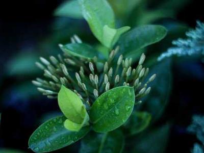 Finding the Right Publishing Mentor and How to Navigate Reviews, Translations, and Book Pricing: Member Q&A with Michael La Ronn and Sacha Black