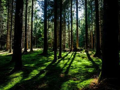 News Summary: Grammarly Rebrands as Superhuman, OpenAI Faces Class Action, and TikTok Deal Nears Completion