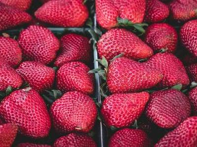 News Podcast: Amazon’s New Algorithm Shakes Up Book Discoverability While Substack Offers Steadier Path for Authors