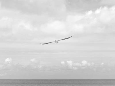 News Summary: Mastodon Courts Creators with New Features; Snapchat Launches Creator Subscriptions