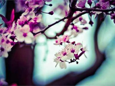 News Summary: ElevenLabs Launches End-to-End Audiobook Production Tool Following London Summit