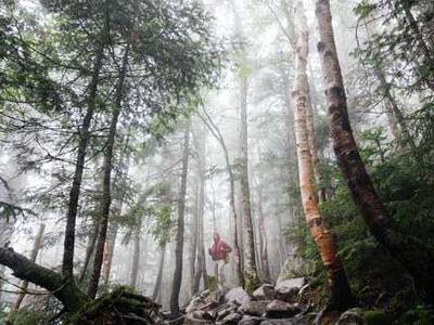 News Summary: ElevenLabs Launches End-to-End Audiobook Production Tool Following London Summit