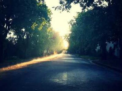 News Summary: Frankfurt Survey Reveals AI Use Across Publishing; EU Act Draws Criticism