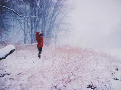 News Summary: UK Independent Publishers Issue AI Copyright Warning; TikTok Backs National Year of Reading