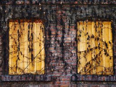 News Summary: Amazon Launches Immersion Reading in Audible, Linking Audiobooks and E-books